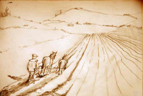 We plough the fields and scatter