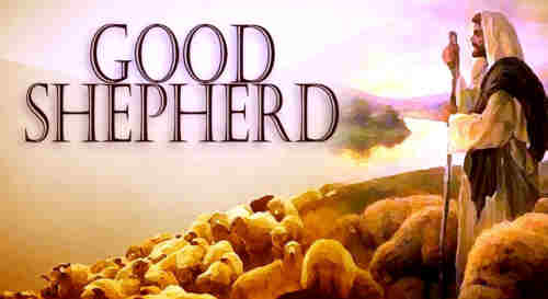 There is a Shepherd Who cares++.
