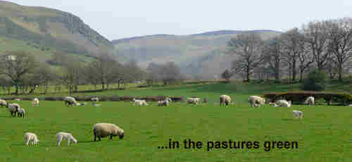Faithful Shepherd feed me In the pasture