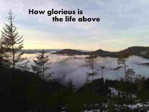 How glorious is the life above Which in 
