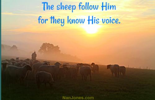 Great Shepherd of Thy chosen flock