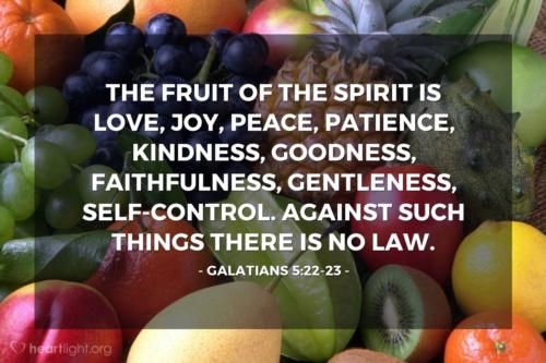 THE FRUIT OF THE SPIRIT