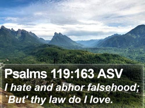 Deceit and falsehood I abhor