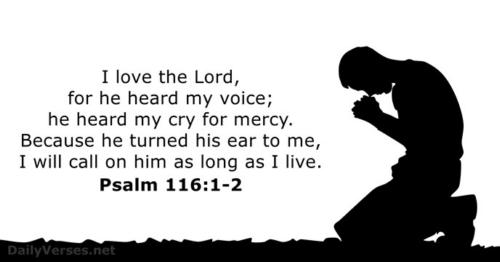 I love the Lord who heard my cry And