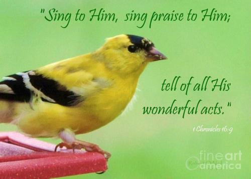 Sing on ye joyful pilgrims Nor think the