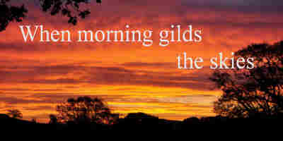 When morning gilds the skies