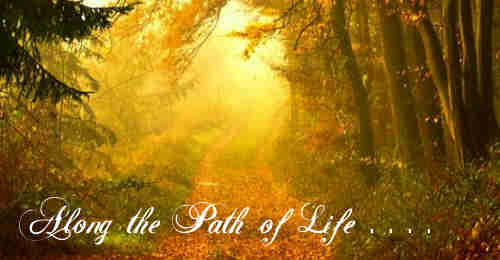 ALONG THE PATH OF LIFE++.
