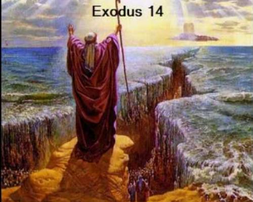 THE ROD OF MOSES