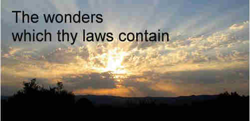 The wonders which thy laws contain no
