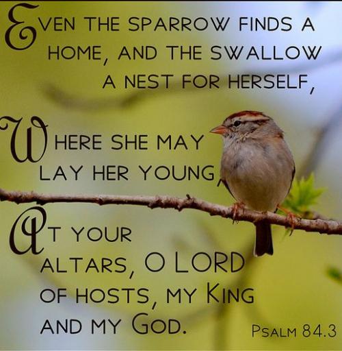 How pleasant is thy dwelling place O