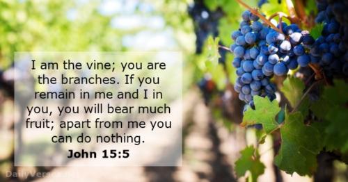 Jesus thou art the living vine Thy