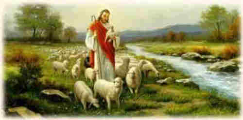 Jesus thou Shepherd of the sheep Thy little flock