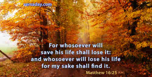 Like Jesus we must do God’s will His