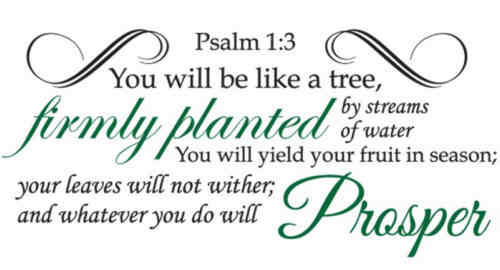 Planted by God