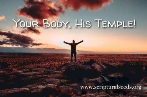 OUR BODIES GOD